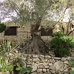 Villa Roba Degli Ulivi