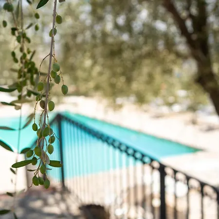 Villa Roba Degli Ulivi *