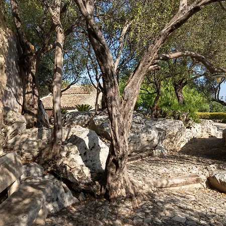 Villa Roba Degli Ulivi *