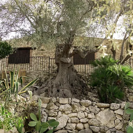 Villa Roba Degli Ulivi