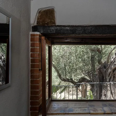 Con Piscina Roba Degli Ulivi