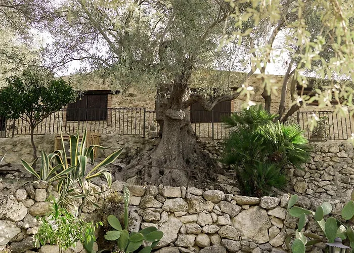 Villa Roba Degli Ulivi